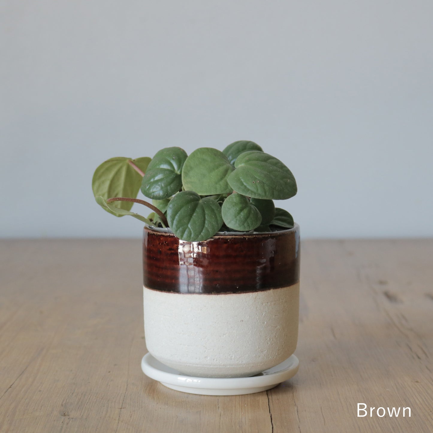 MissionBay オリジナル 植木鉢U型