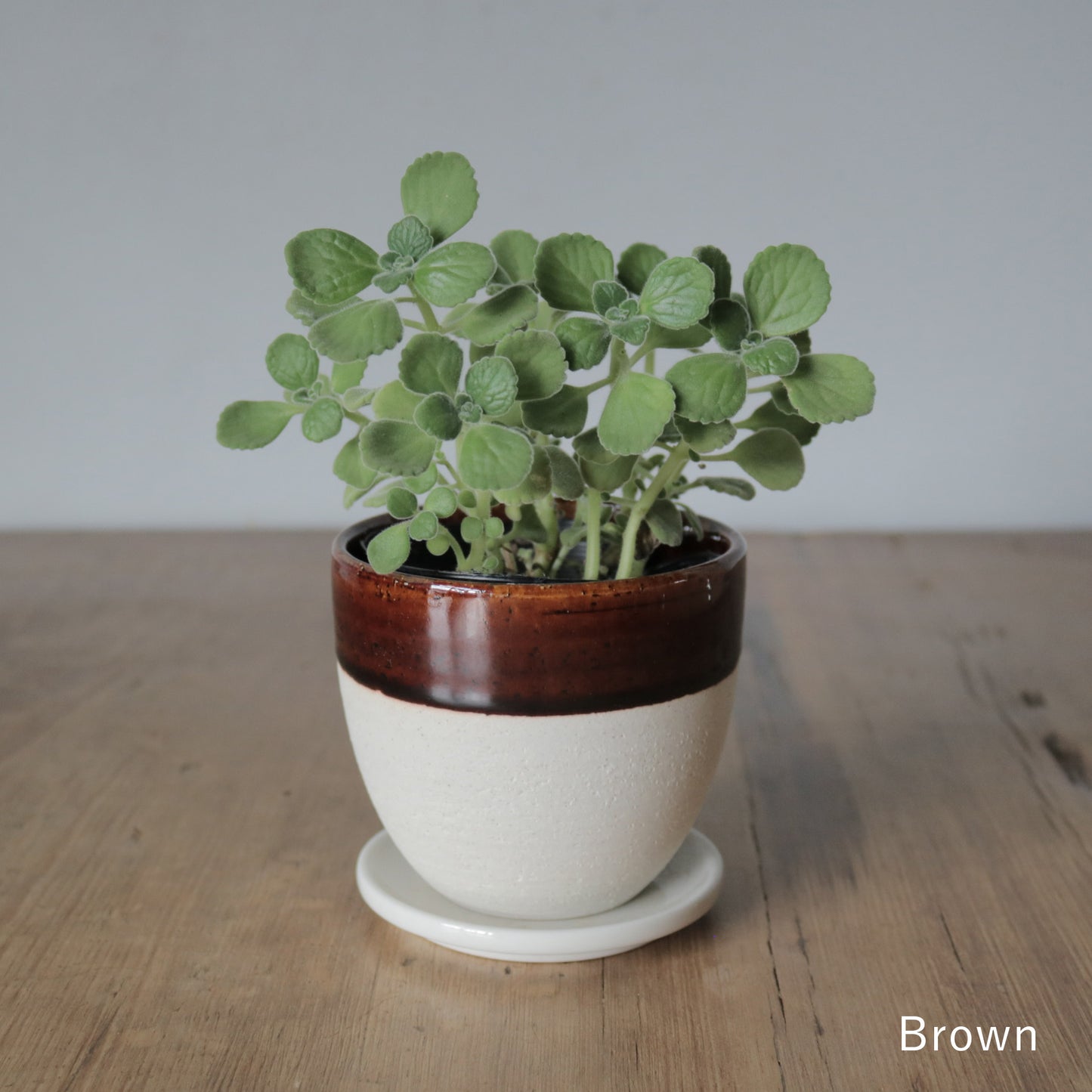 MissionBay オリジナル 植木鉢V型