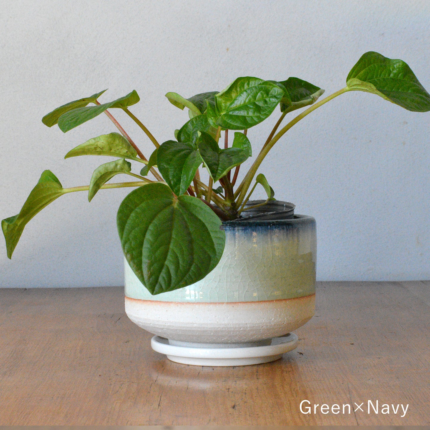 Mission Bay オリジナル 植木鉢抹茶碗