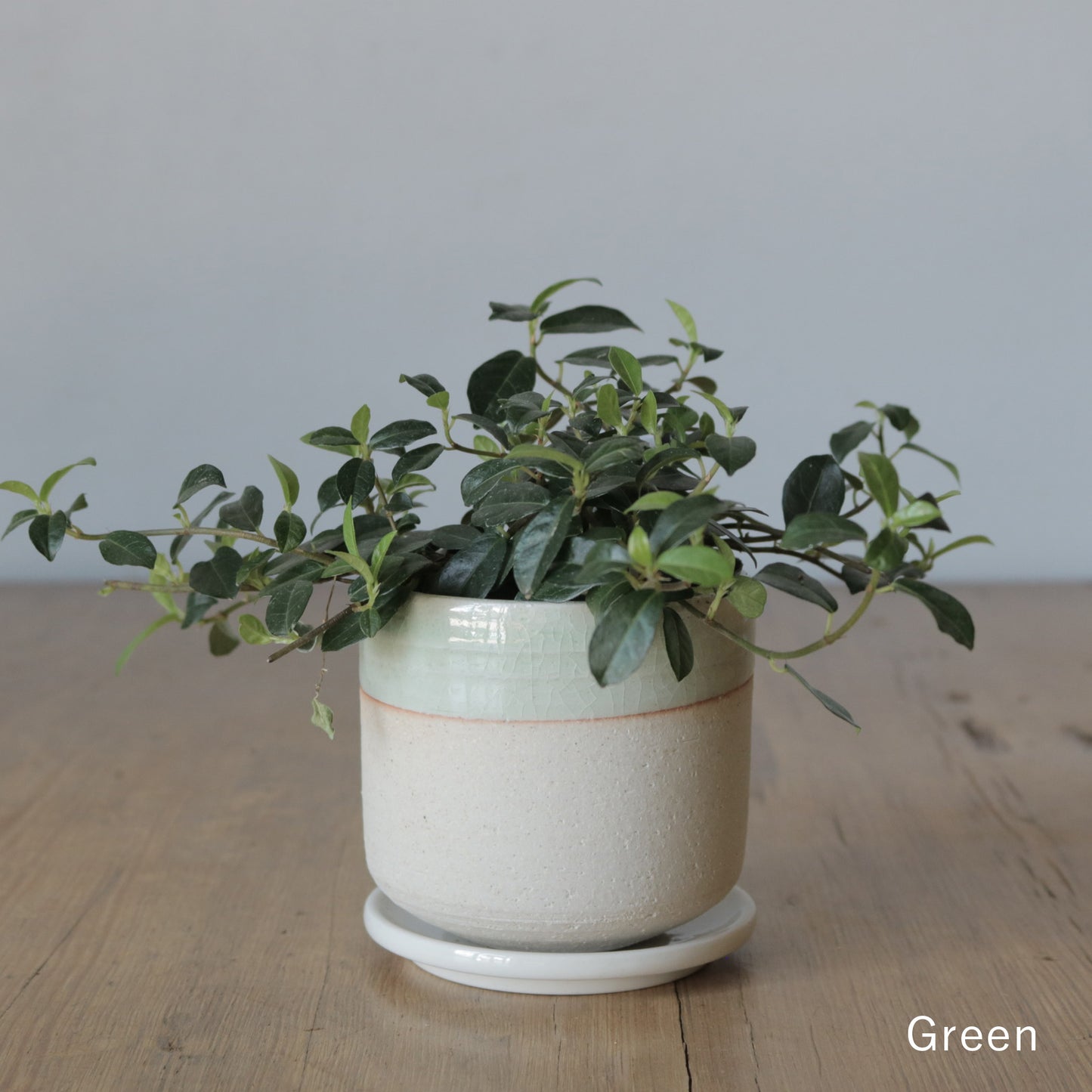 MissionBay オリジナル 植木鉢U型