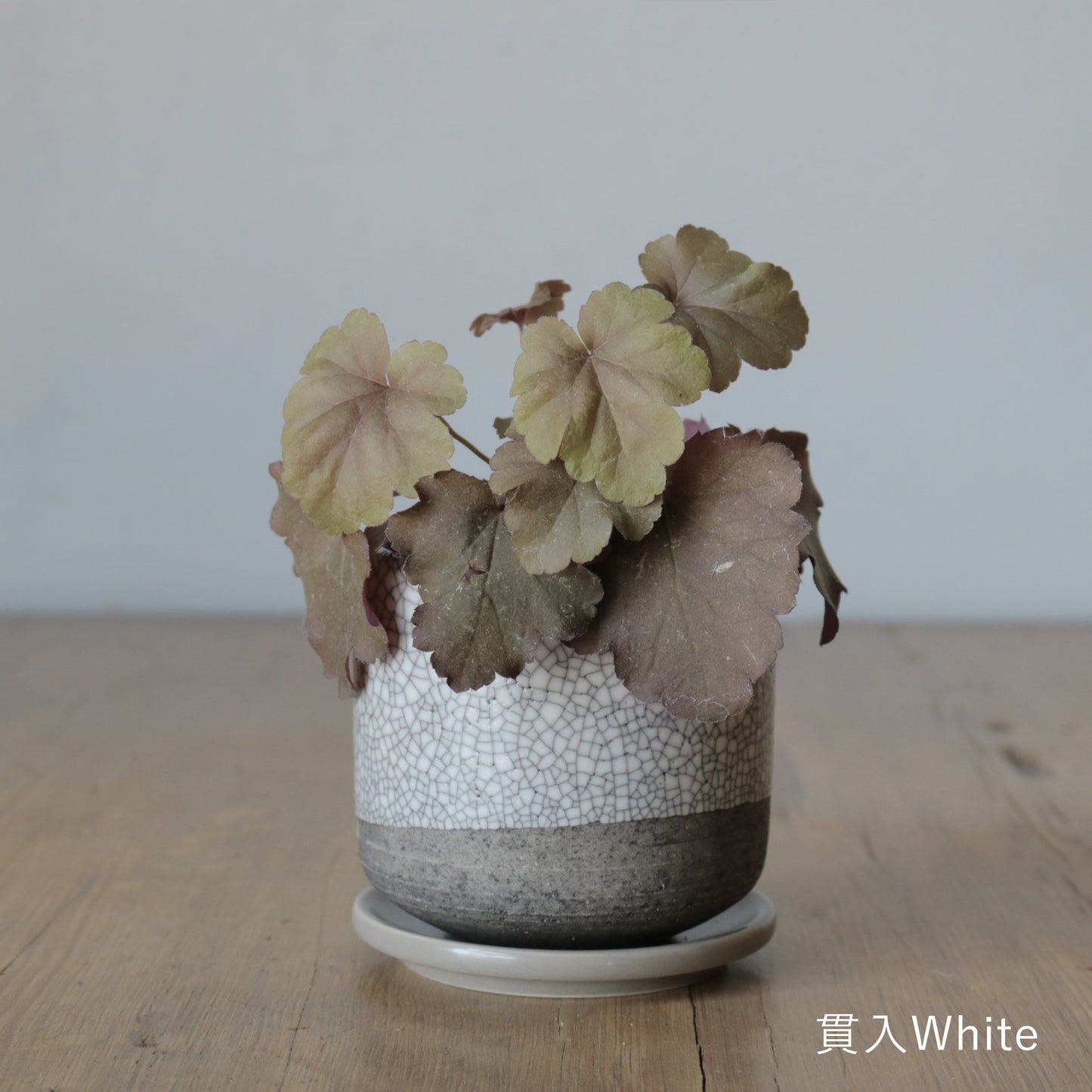 MissionBay オリジナル 植木鉢U型
