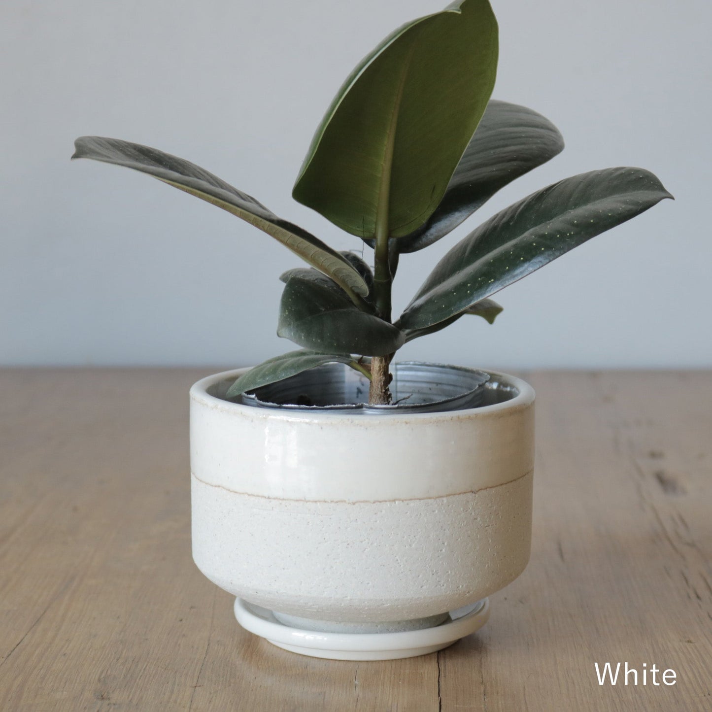Mission Bay オリジナル 植木鉢抹茶碗