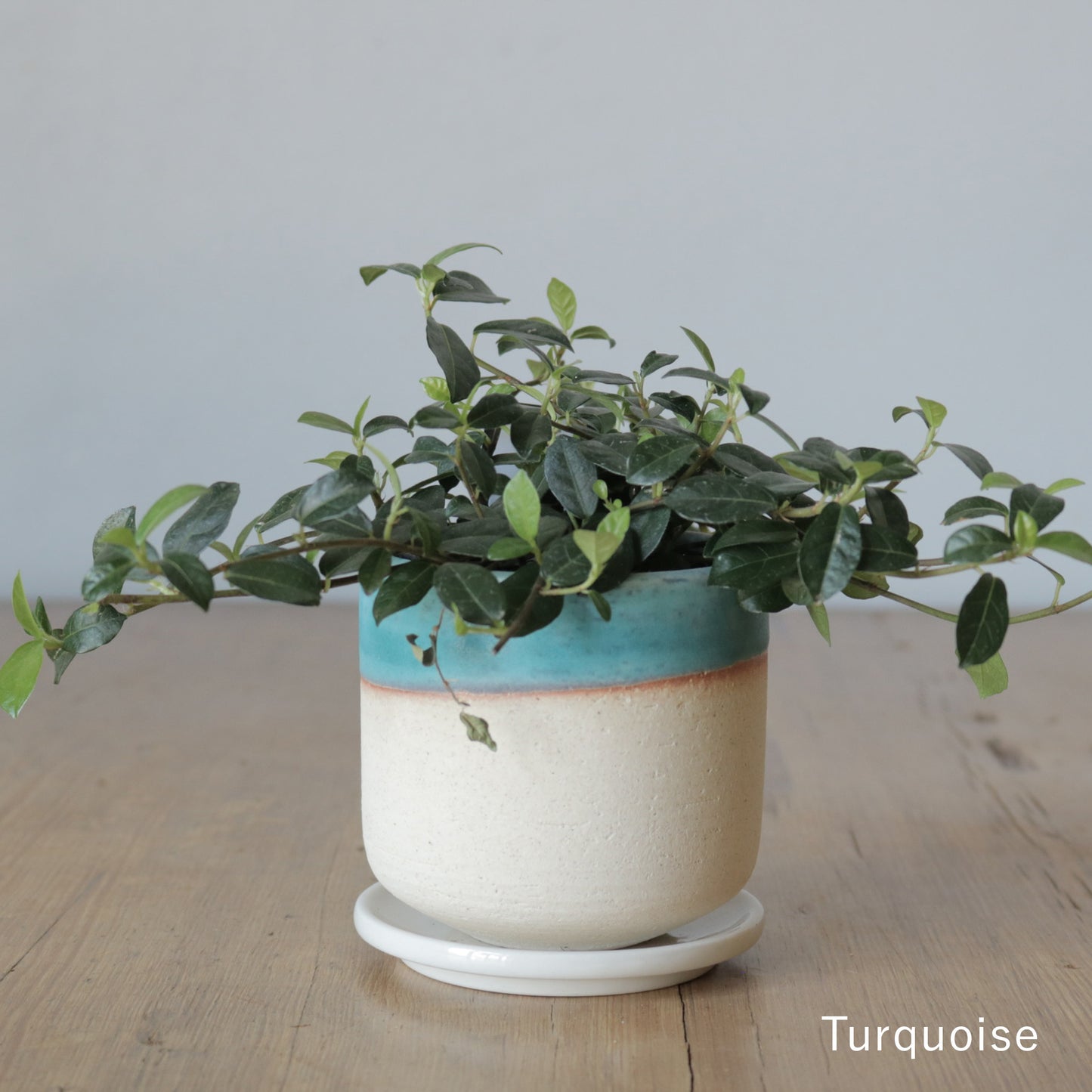 MissionBay オリジナル 植木鉢U型